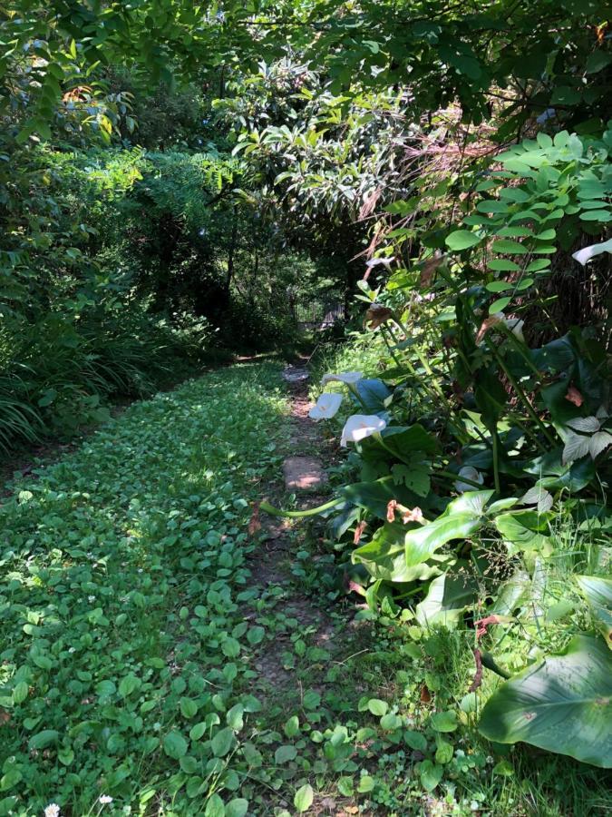 Hostel Eco 查克维 外观 照片