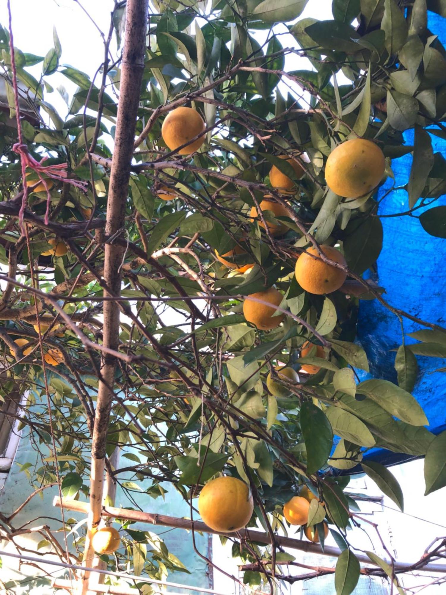 Hostel Eco 查克维 外观 照片